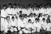 Pitanja i odgovori o tradicionalnom  karateu
