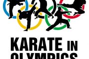Status karate sporta u Srbiji
